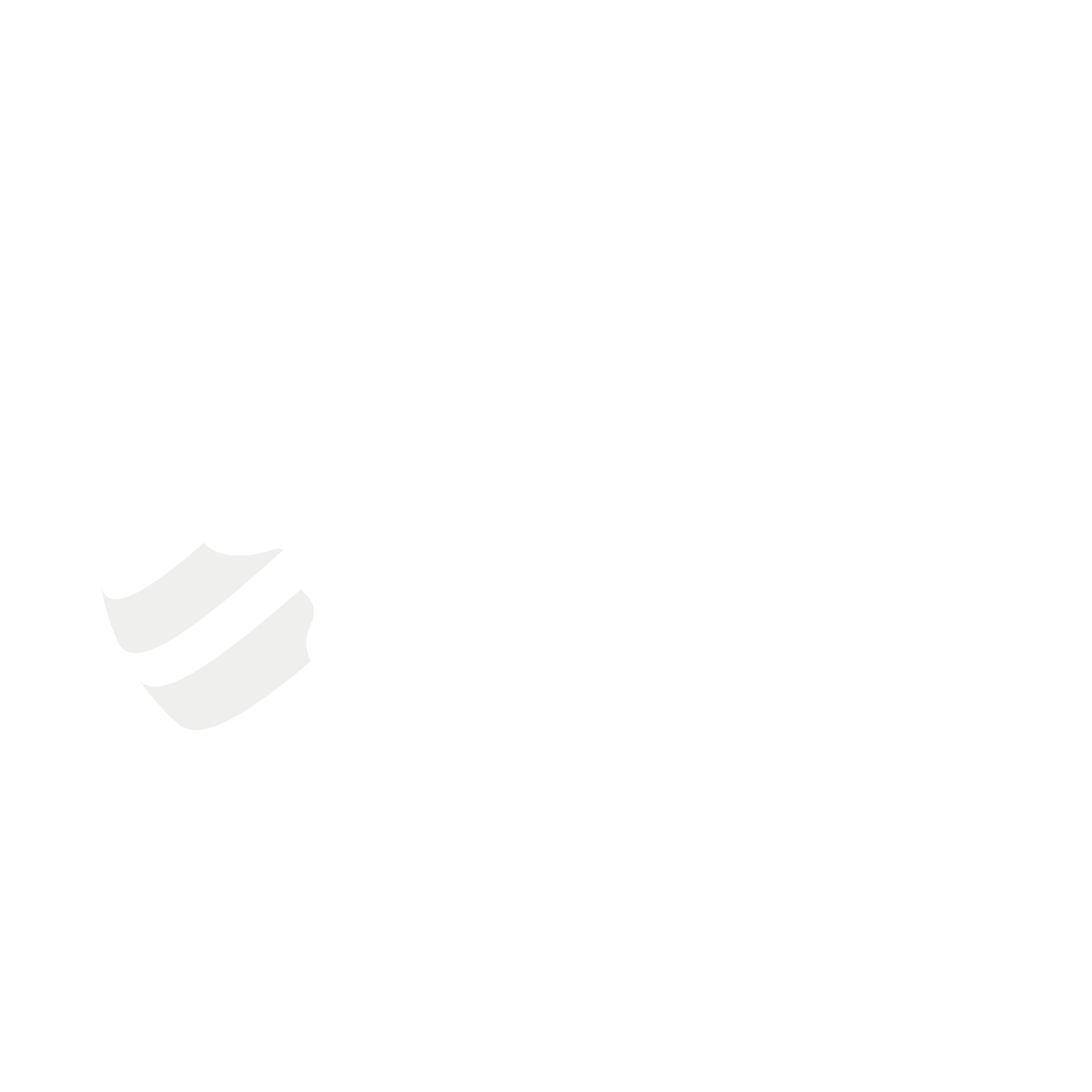 ALLIAN SUD Logo